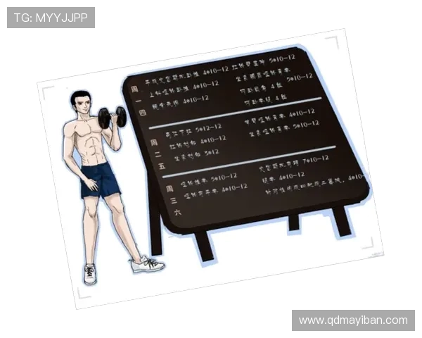 提升力量与耐力，塑造完美体型的全方位健身指南与训练计划