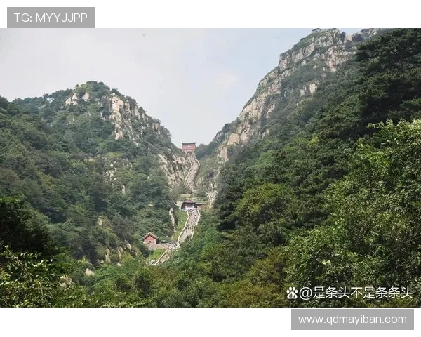 泰山文化与自然遗产融合发展路径研究以山东泰山为中心的多维探讨 泰山文化与自然遗产融合发展路径研究以山东泰山为中心的多维探讨