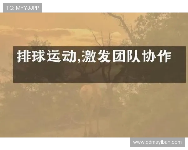 南京排球队的意识提升与团队协作探索聚焦排球运动发展新方向 南京排球队的意识提升与团队协作探索聚焦排球运动发展新方向