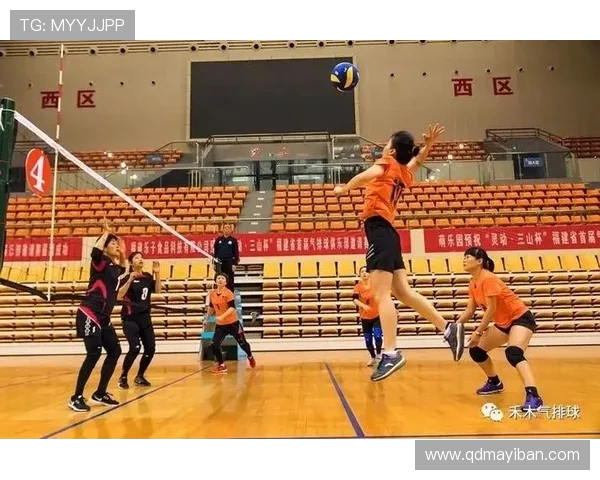 广州排球队在精英赛中的战术表现分析与点评探讨