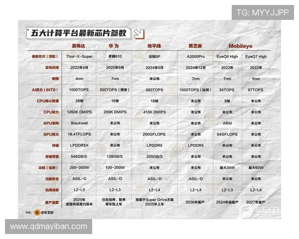 极限运动新手指南：从基础到高阶的全面技能提升攻略