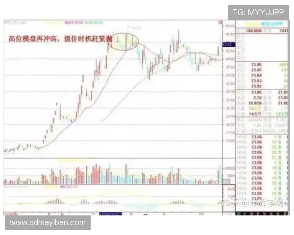 武汉篮球队与北京篮球队赛后状态分析与复盘总结