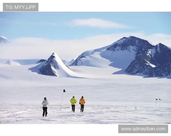 深圳极限运动队的包夹现象及其对运动发展的影响分析